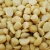 Import Kenya Macadamia Nuts from Kenya