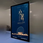 NEW Thin Ceiling 24