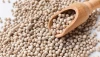 Buy White Pepper Online from a Trusted International Supplier