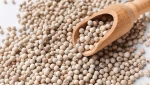 Buy White Pepper Online from a Trusted International Supplier