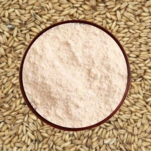 Organic Barley Flour Freshly Milled Barley Flour Rich In Fiber And Minerals For Wholesale Orders