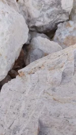 Wolframite (Tungsten) Ore