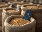 Premium Non GMO Soybeans High Quality Export Grade