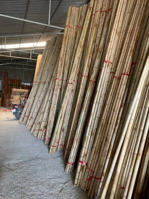 High Quality Bamboo Cane