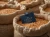 Import Premium Non GMO Soybeans High Quality Export Grade from United Kingdom