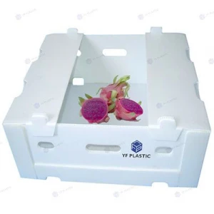 Cost Effictive Coreflute Packaging Dragon Fruit Box