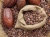 Import Cocoa and Cashew from Nigeria