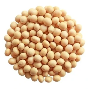 Export-Grade Soybeans for Food, Oil & Animal Feed – Bulk Supply
