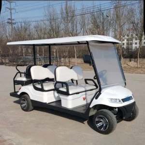 Chinese 2 4 6 8 10 Seater Electric Golf Cart 48V/60V/72V Golf Carts Club Cheap Golf Buggy