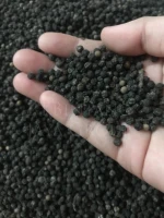 Black Pepper