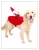 Import Dog Clothing&Accessories from China