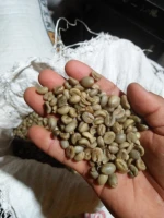 Robusta Green Bean Coffee