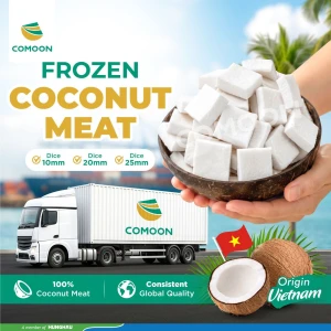 FROZEN COCONUT MEAT