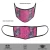 Import Set of 2 - Pink and Blue Floral Reusable Printed Face Mask from India