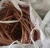 Import Copper Wire Scrap from China