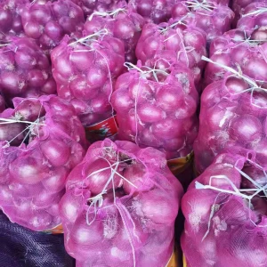 fresh onion , purple onion