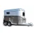 Import Double Horse Float Trailer from USA