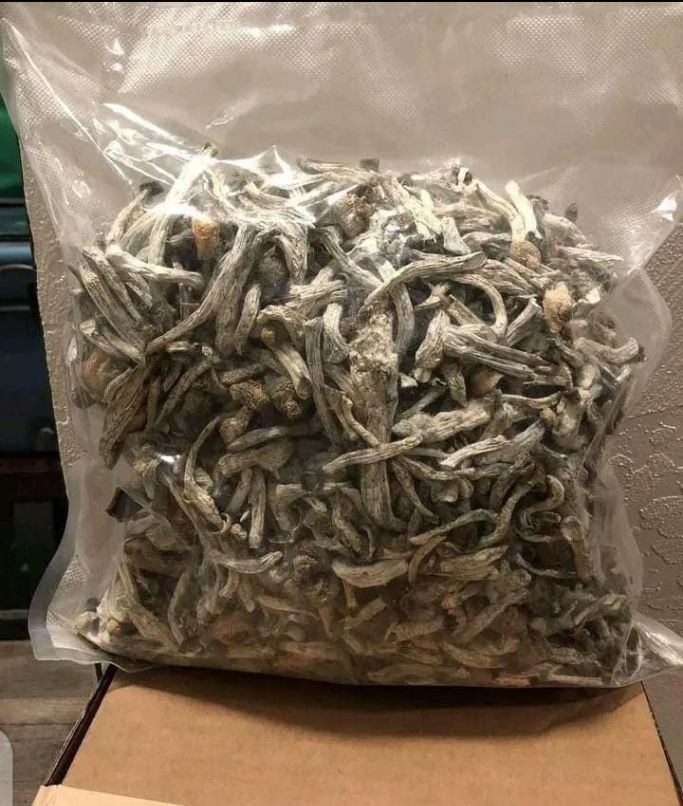 Buy Dried Morel Mushrooms from Saly, Andorra | Tradewheel.com