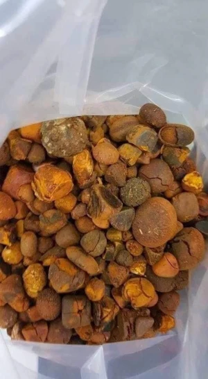 Cow Gallstones / Cattle Gallstones GOOD PRICE