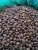 Import Colombian Coffee Beans Brazilian Coffee Beans Vietnamese Coffee Beans from USA