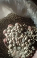 COFFEE BEANS ARABIKA AND ROBUSTA