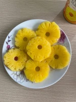 Canned Pineapple Sliced in Light Syrup