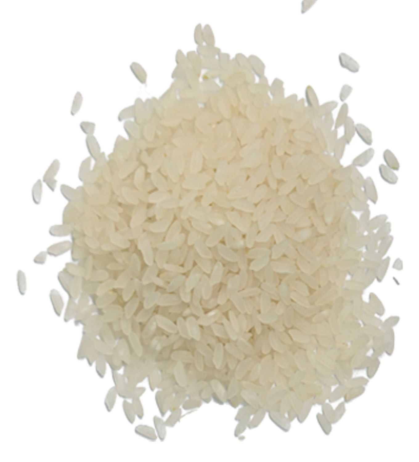 Buy Round Grain Rice – Short Grain Creamy Rice | Horeca 5/10kg | Bulk ...