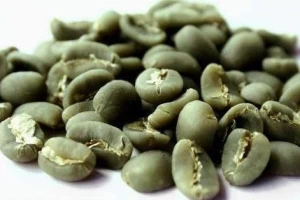 Arabica Green Beans Lintong