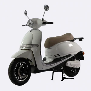 EEC E-Mark L1e L3E 45km/h 75km/h Swan 3000W 4000W high speed Europe electric scooter