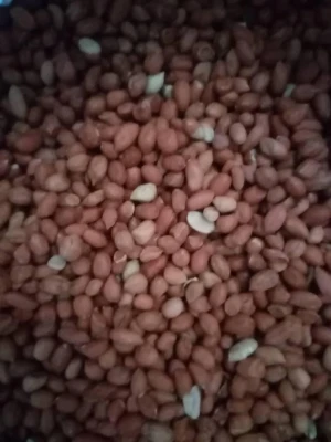 Peanuts