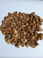 Betel Nut Grades 90-95