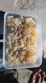 Somali Frankincense Resin (Boswellia Carterii)