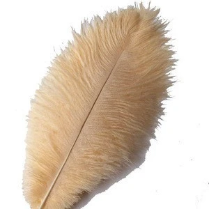 10-12 inches Ostrich Feather Real Natural Feather for Home Decor Party Wedding Decorations (Champagne)