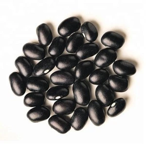 100% Black Kidney Bean South Africa