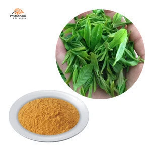 100% Natural for Weight loss 98% polyphenols green tea extract
