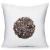 Import %100 Organic buckwheat pillow covered with  Organic Cotton case from USA