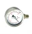Import 100mm(4" )Stainless steel pressure gauge no use oil filled from China