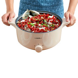 110V 60Hz 1000W 4Liter Large Size Food Noodle Soup Electric Pot Electric Multi Stainless Steel Cooking Pot with Steamers