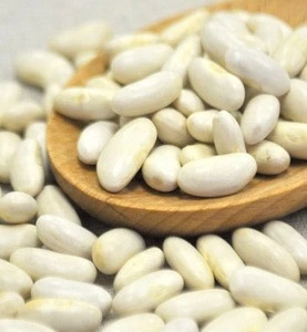 2016 white kidney beans / white bean / butter bean