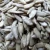 Import 2017 100% processing sunflower seed kernels from China
