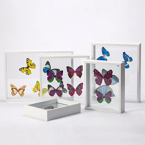 2019 Hot Sale custom-made MDF Double glass Plant Insect butterfly specimen float frame photo picture frame for home decoration