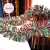 Import 2020 decorative Tinsel Garland Christmas Decorations Supplies National flag color customization from China