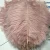 Import 2020 Factory Price Wedding curly ostrich feather boas from China