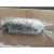 Import 2020 Hot Selling Product Fresh Frozen Boiled Amberjack Fish Meat Seafood Wholesale from China