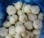 2020 Shandong Fresh Garlic Normal/Pure White 4.5/5.0/5.5/6.0/6.5cm Up