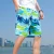 Import 2021 Drop Shipping  Summer Mens Beach Shorts Floral Cotton Shorts Summer Pants from China
