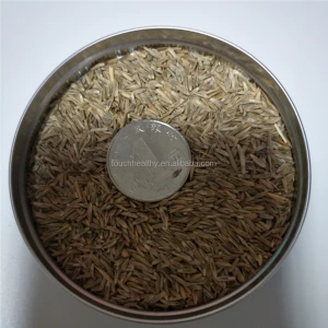 2021 perennial ryegrass seeds forage seeds grass seeds is a high-quality forage cattle, sheep, horses.
