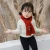 Import 2021 Winter Scarf Children Scarves Ins Embroidery Cartoon baby Knitted Scarves from China