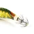Import 2#2.5#3#3.5# Lead Sinker Squid Hook Jigs Octopus Cuttlefish Shrimp Baits 3D Eyes Luminous Lures from China