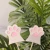Import 24pcs topper cake cat claw cake insert flag cake decoration insert children pet birthdaywholesale custom party supplies from China